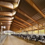 10686860_794111213982178_5719394292790917664_n