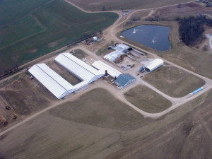 Meidema Dairy aerial photo