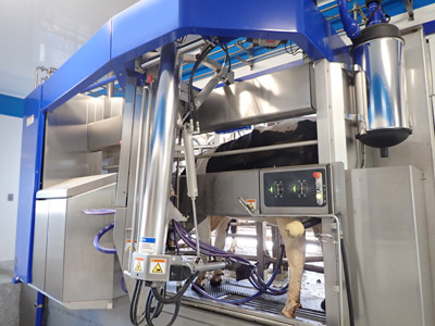 Robotic milking equipment.